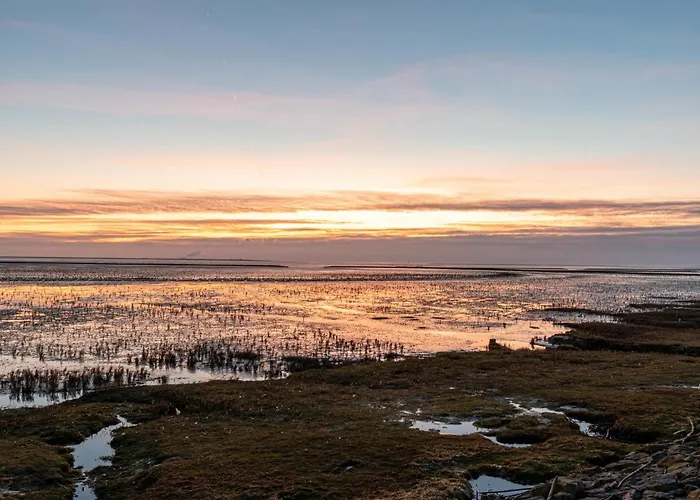 Lydia By Interhome * Norddeich (Norden)